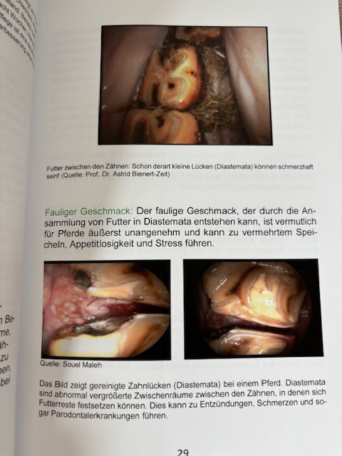 Die Zahngesundheit unserer Pferde - ein kurzweiliges Buch mit geballtem Wissen!