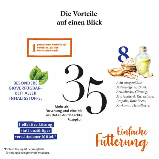 GladiatorPlus Hund Milieufütterung 1000ml