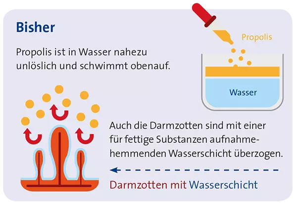 GladiatorPlus Hund Milieufütterung 250 ml