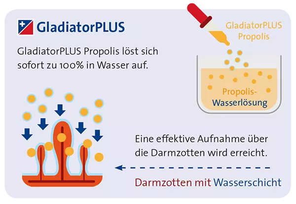 GladiatorPLUS Pferd Milieufütterung 500 ml