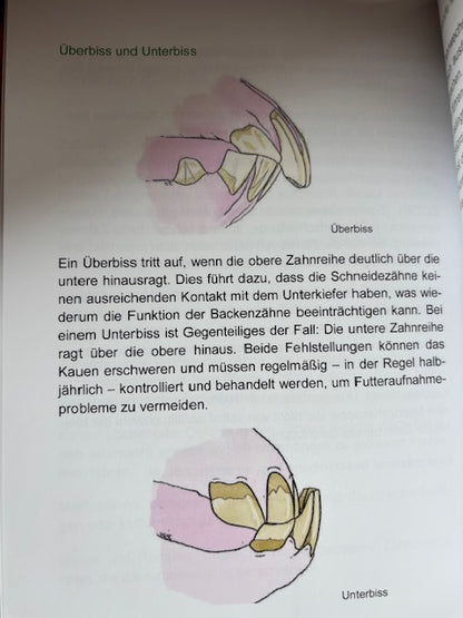 Die Zahngesundheit unserer Pferde - ein kurzweiliges Buch mit geballtem Wissen!