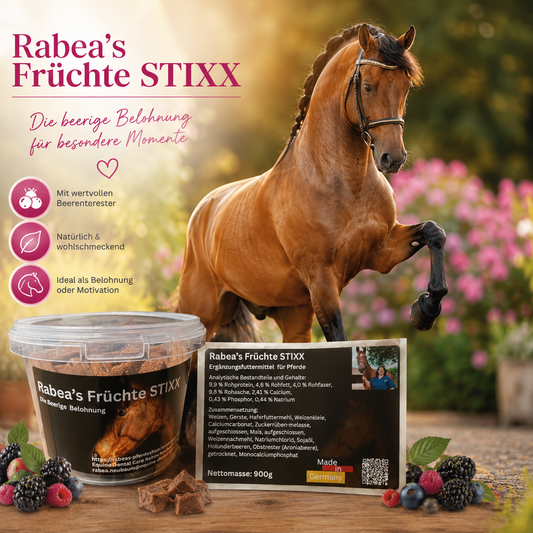 Rabea´s Früchte Stixx- die Beerige Belohnung
