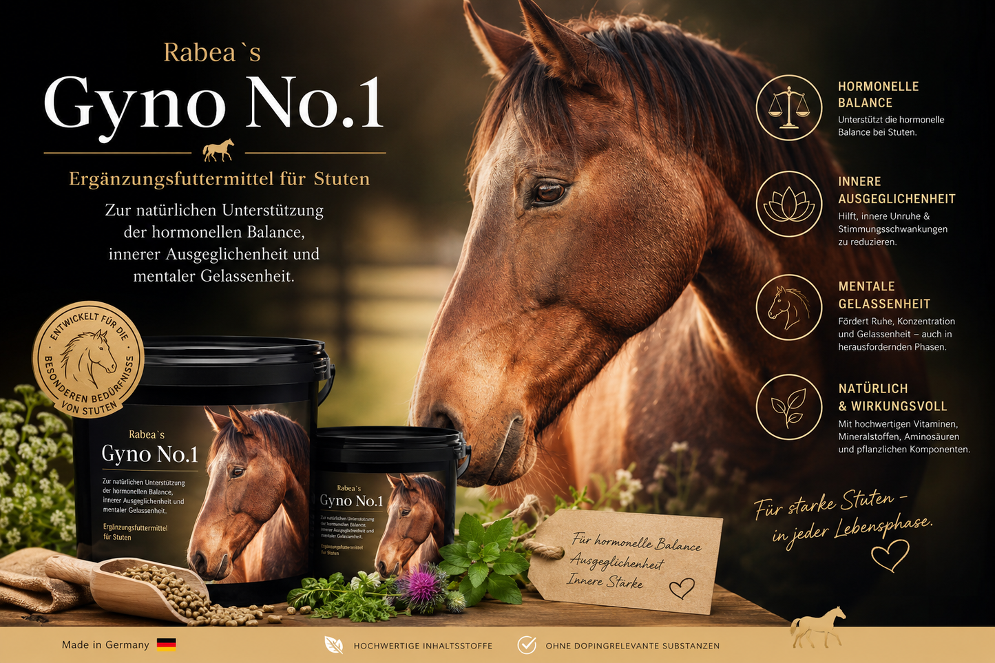 Gyno No.1 Hormonal Balance and Mental Balance 1 Kg Can