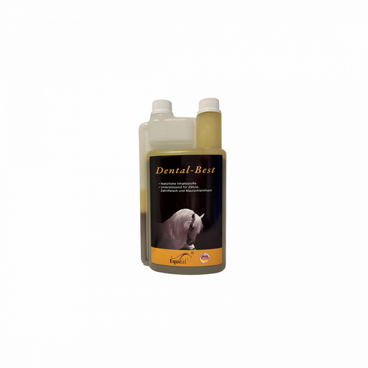 Dental Best 1000 ml -