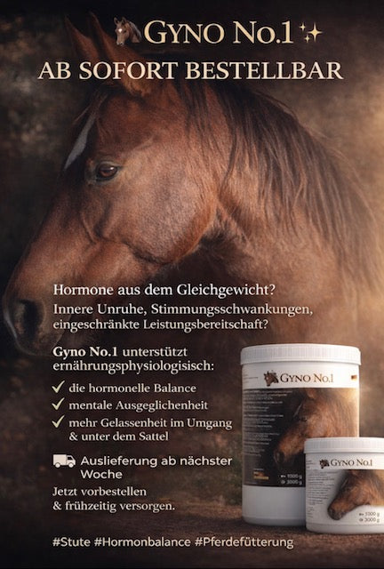 Gyno No.1 Hormonelle Ausgeglichenheit und mentale Balance 1 Kg Dose