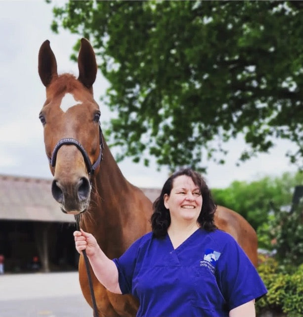 Online Beratung für Pferde - Kompetent. Persönlich. Ortsunabhänig