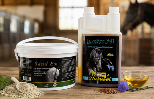 Rabatt Bundle: Sand im "Getriebe"