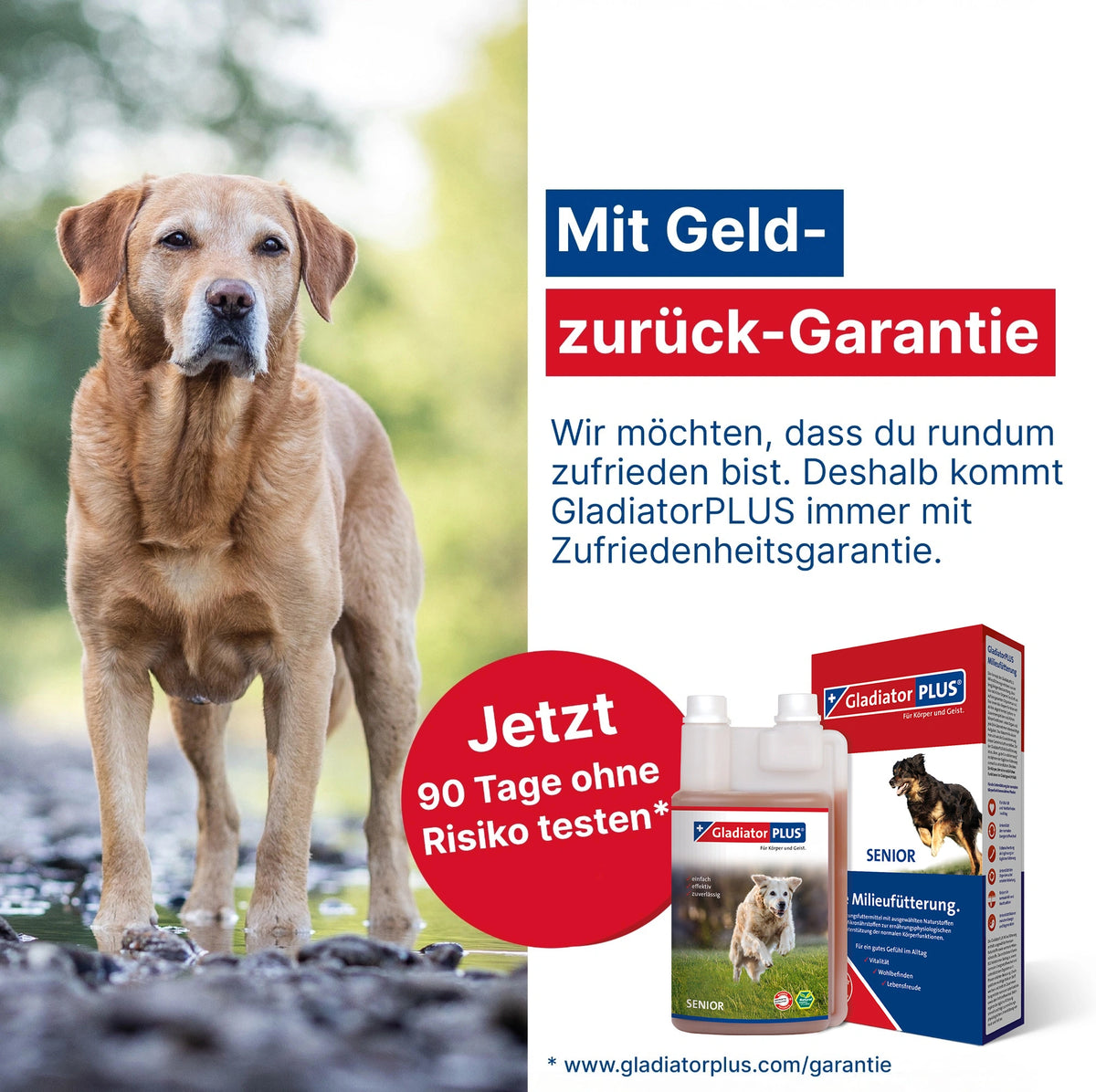 GladiatorPLUS Hund Senior Milieufütterung 1000 ml