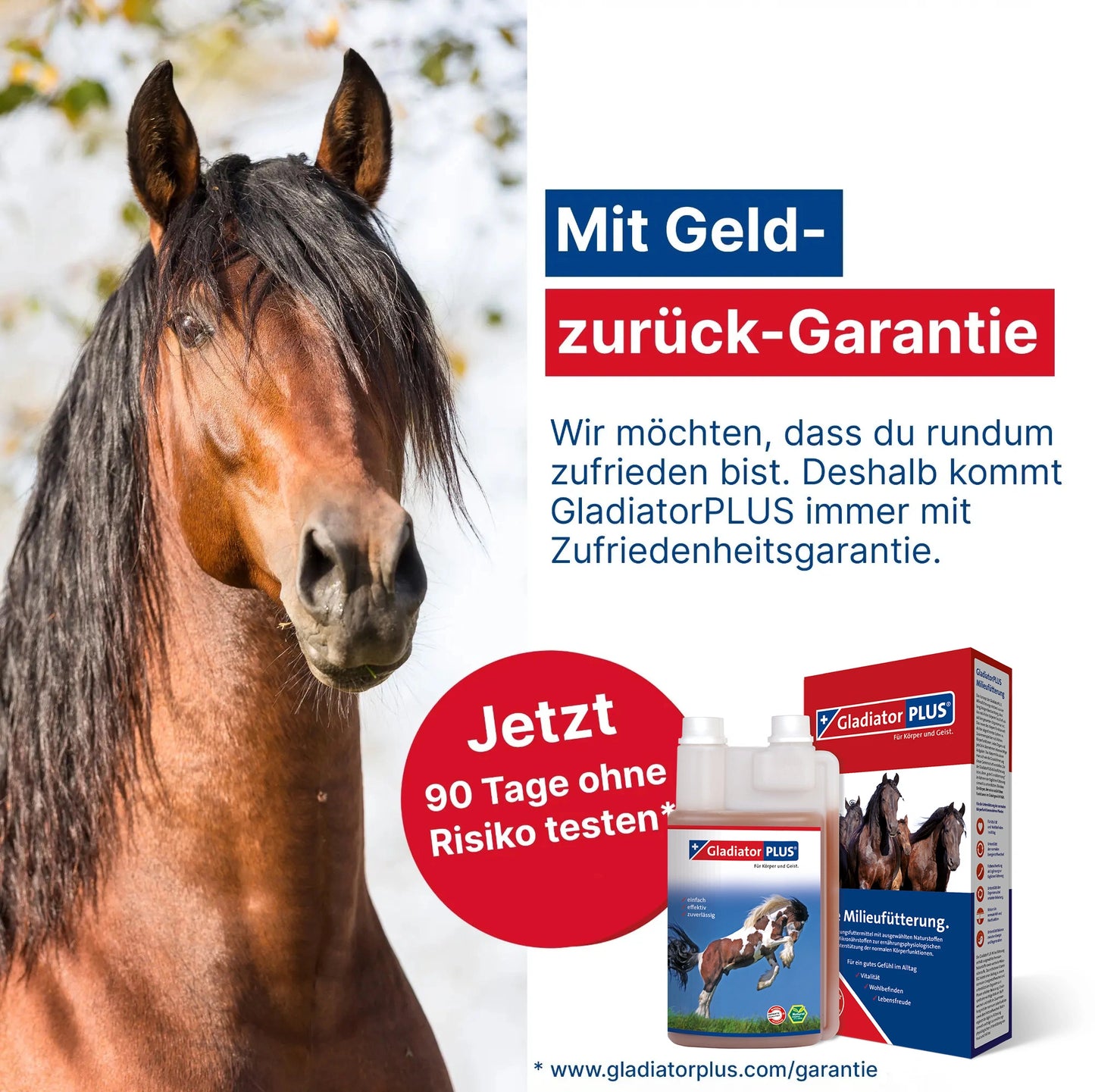 GladiatorPLUS Horse Milieu Feeding 1000 ml