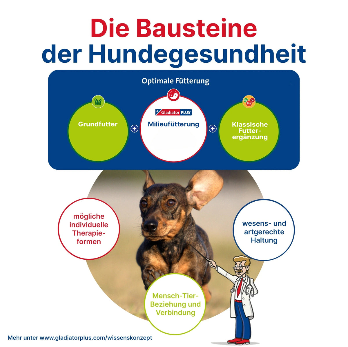 GladiatorPlus Hund Milieufütterung 1000ml