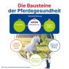GladiatorPLUS Horse Milieu Feeding 1000 ml