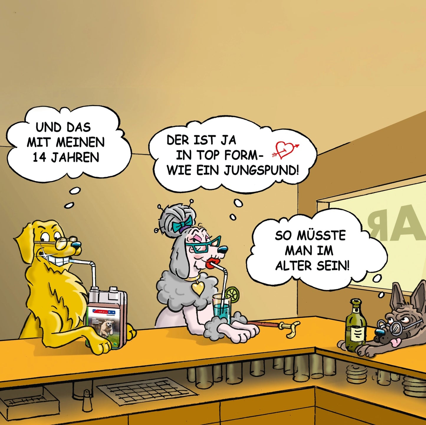 GladiatorPLUS Hund Senior Milieufütterung 1000 ml