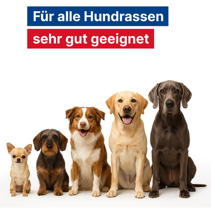 GladiatorPlus Hund Milieufütterung 1000ml