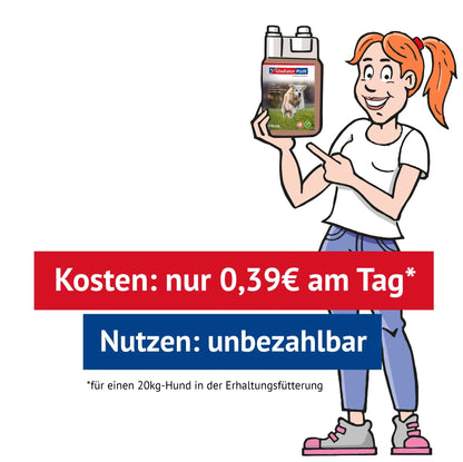 GladiatorPlus Hund Milieufütterung 1000ml